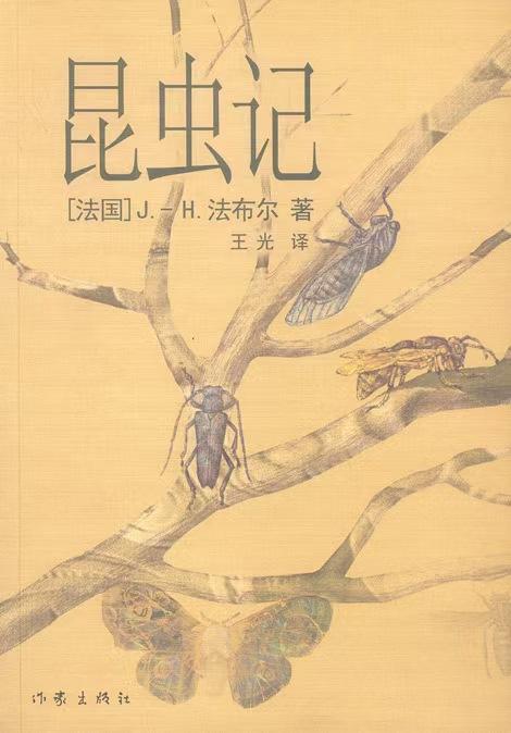 昆虫记螳螂的外形和生活特征